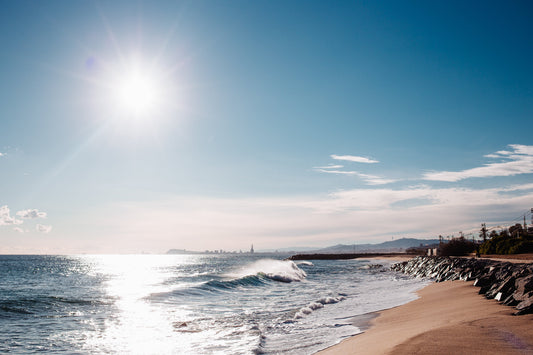 Transform Your Life with Daily Gratitude